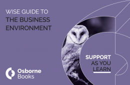 The Business Environment Wise Guide